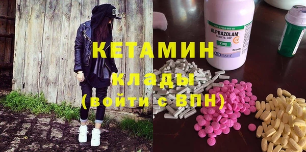 шишки Аркадак