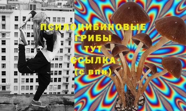 ALPHA-PVP Алексин